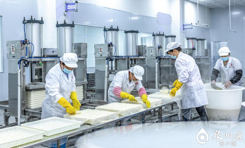 泉州市首个豆干观光工厂投产——信之游，开启传统产业新篇章